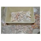 Small Tub of Sea Shells
