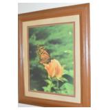 Vintage Framed Photograph of Monarch Butterfly