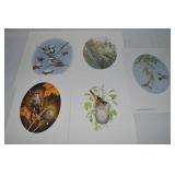 (5) Signed LE Unframed Fine Art Bird Prints w/