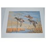 R Morkel Signed LE 172/500 Mallard Ducks Unframed