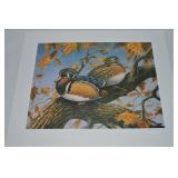 R Morkel Signed LE 400/500 Wood Ducks Unframed