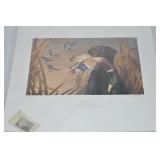 Charlotte Edwards Signed LE 680/2k 1992 Iowa