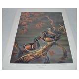 Mark S Anderson Signed LE 814/2550 Autumn Woodies