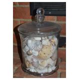 Vtg 11"t Lidded Glass Apothecary Jar w/ Sea Shells