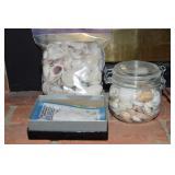 Small Glass Canning Jar + of Sea Shells