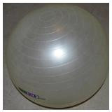 Go Fit 65cm Exercise Fitness Ball