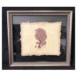 Venus Fern Fine Art Print on Parchment Framed