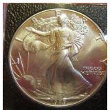 1989 US Eagle .999 Silver in Hard Case