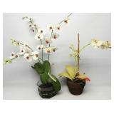 Artifical Orchid Plants 19'T