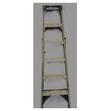 Werner 6Ft Ladder