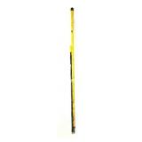 Painters Poles
