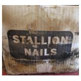 Stallion Nails