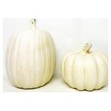 White Pumpkin Decor