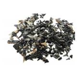 Pile Of Sharks Teeth