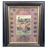 Framed Buffalo Nickel Collection