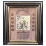 Framed Indian Head Cent Collection