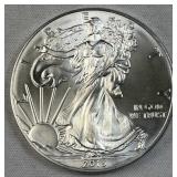 2013 American Silver Eagle 1oz .999 Fine