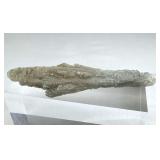 Fulgurite "Petrified Lightning" Stone Specimen