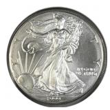 1999 American Silver Eagle 1oz .999