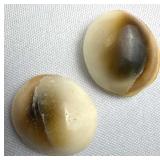(2) 32.1 ct Total Shiva Eye Gemstones