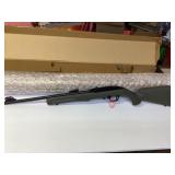 Rossi RS22 Semi-Auto Rimfire Rifle