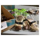 Pet Accessories Lot with Puzzle Feeder