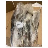 Natural Bird Feathers Collection
