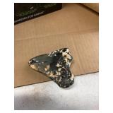 Fossilized Megalodon Shark Tooth