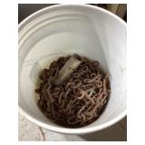 Bucket with Multiple Chains