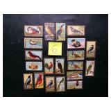 20 Vintage Mecco cigarette bird series cards