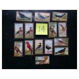 14 - Sweet Caporal cigarette bird series cards