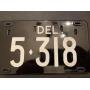 Live Delaware 4 Digit Tag #5318