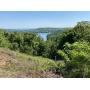 7.37+- Acres, Woodland