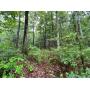 Lot 67 2.40+- Acres