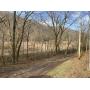 0.96+- Acres  Woodland  Creek Frontage