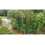 0.32+- Acre Building Lot  Lake Tansi