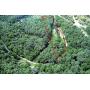 S/W Home & 4.6+/-Acres