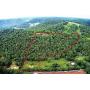 13.05+/- Acres ï¿½ Private ï¿½ Views ï¿½ Woodland ï¿½ 1 Tract