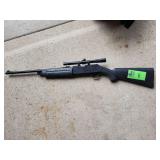 Daisy Powerline 856 rifle