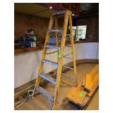 Werner ladder 6