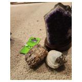 Dark purple amethyst Stone and shell