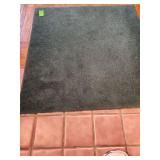 4 Green carpets 1 measuring 47 in X 49 in 2 one measuring 24x50 3 measuring 32 in X 46 in 4 measuring 42in X  91in