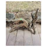 Driftwood root