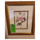 P.J. Redoute floral paintings