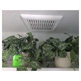 2 artificial satin pothos plant deco