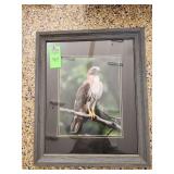 Framed print about 23in X 19in