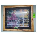 Framed nature picture about 27in X 23in