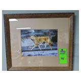 Framed wolf picture about 17in X 14in