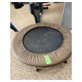 Mini exercise trampoline, commonly referred to as a rebounder.