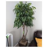 7' artificial Ficus in decorative pot